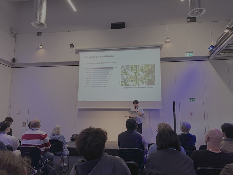 Junsu Kim presenting BeeHunters at CVPPA, ECCV 2026, with the detector comparison slide and audience visible
